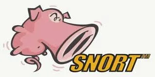 Snort IPS