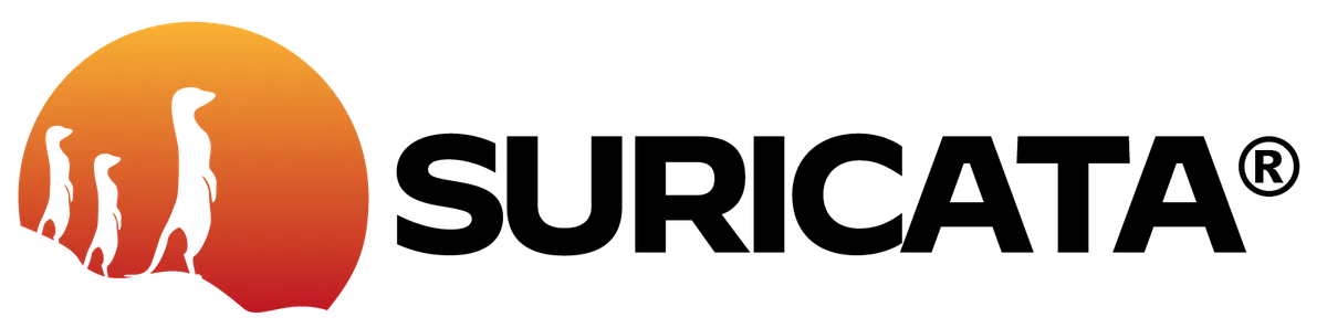 Suricata EVE JSON