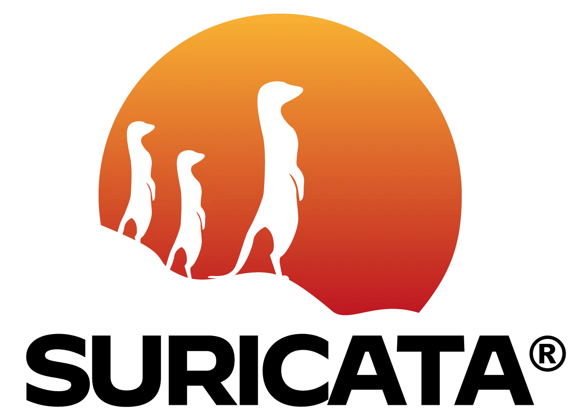 Suricata IDS/IPS
